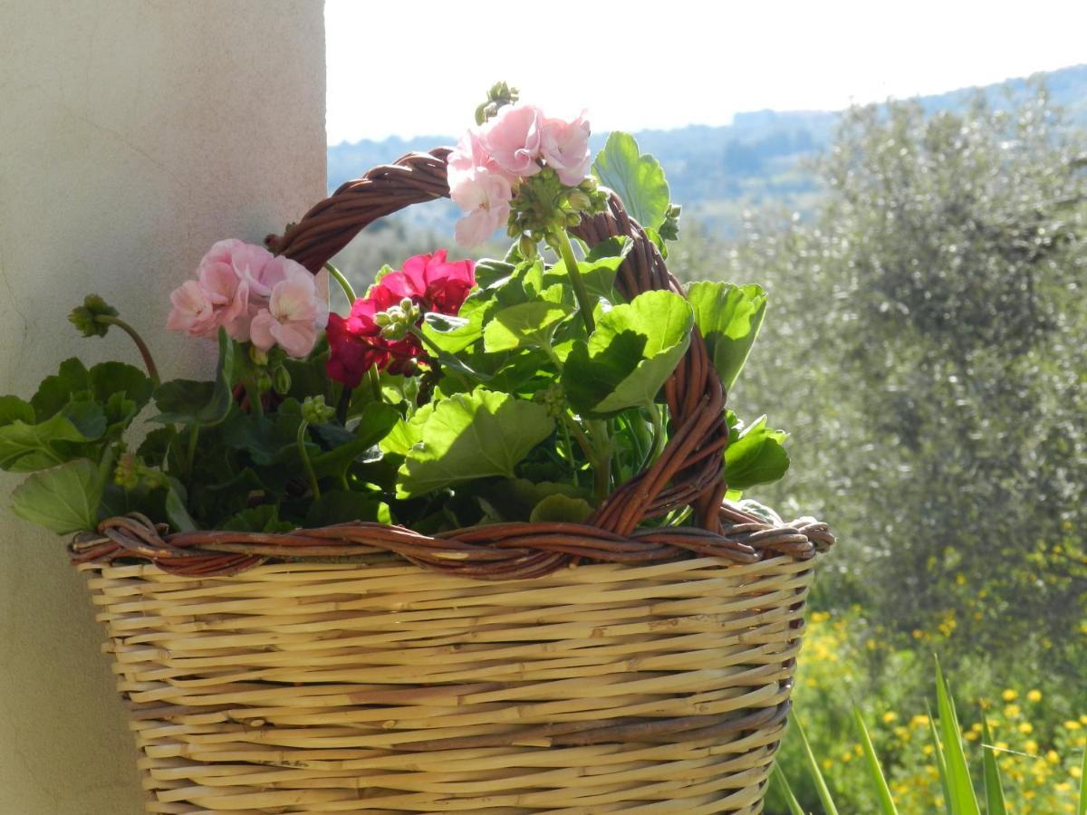 Masseria Santacatrini Bauernhof